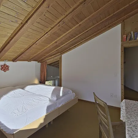 Chesa Prasura - Celerina Apartment *